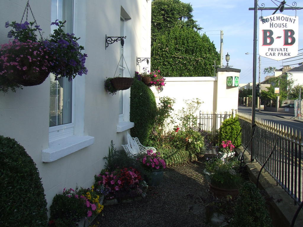 Rosemount House B&B COUNTY WEXFORD Εξωτερικό φωτογραφία